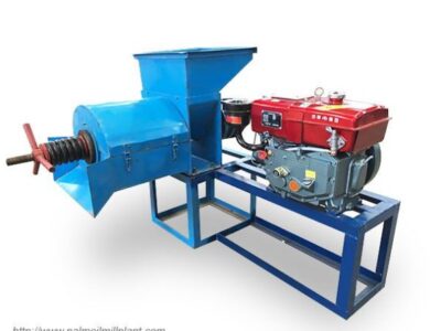Lesser Palm Oil processing machines