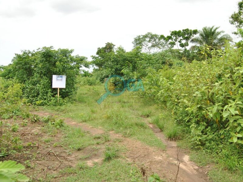 Farmland (6000 acres of farmland)