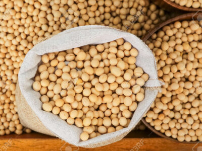 Soyabean